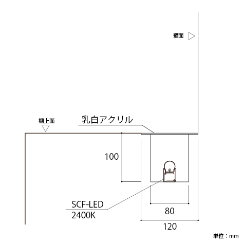 水の揺らぎと光に包まれる家