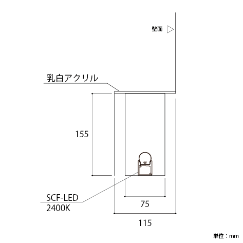 水の揺らぎと光に包まれる家
