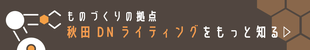 秋田DNライティングを知る